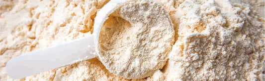 Wat is whey protein