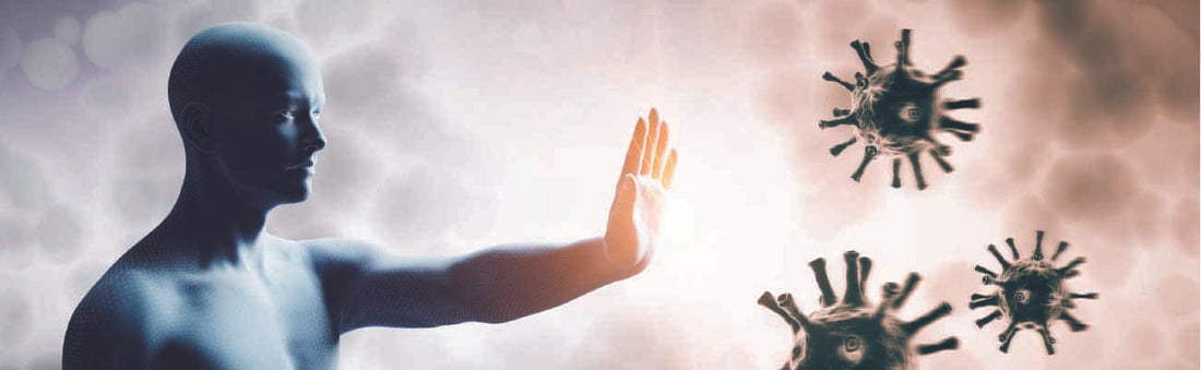 Immuun ondersteuning