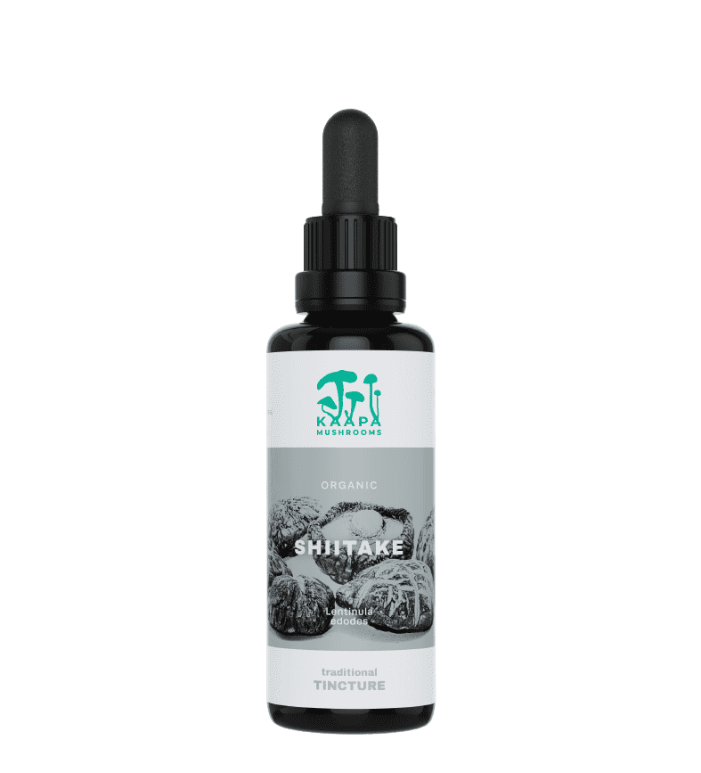 Koop KÄÄPÄ Mushrooms Shiitake Organic Tincture 50ml bij LiveHelfi