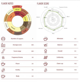 Koop NoordCode Pure Coffee Medium Roast Ground 250g bij LiveHelfi