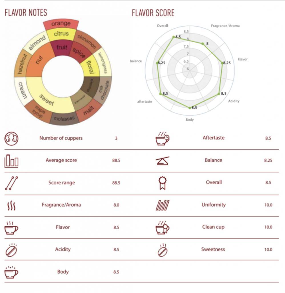 Koop NoordCode Pure Coffee Light Roast Ground 250g bij LiveHelfi