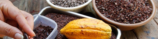 Waarom is rauwe cacao gezond